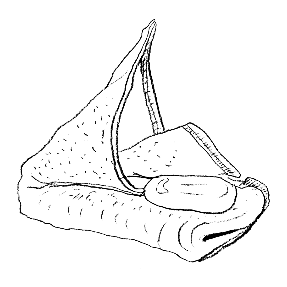 Ručník
