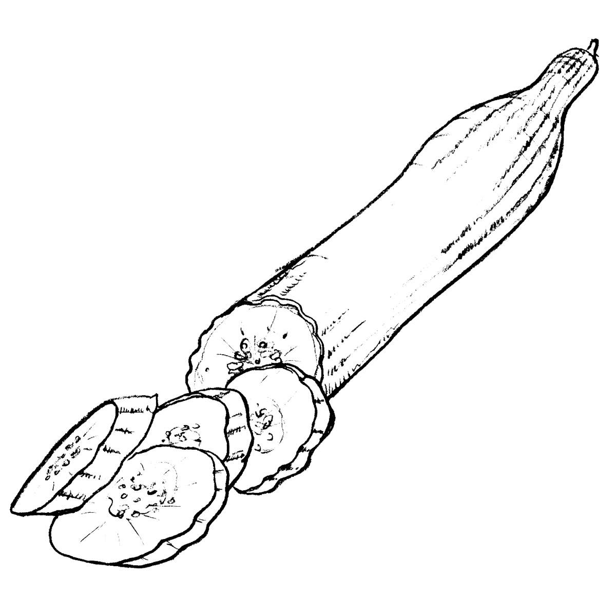 Okurka